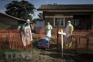 WHO cảnh báo dịch Ebola ở biên giới Uganda và Congo