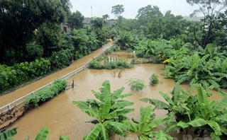 Bão vẫn chưa tan