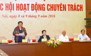 Phát huy trí tuệ, trách nhiệm của đại biểu Quốc hội chuyên trách
