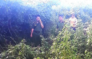 Đang ráo riết truy tìm hung thủ hiếp, giết bé gái chăn bò
