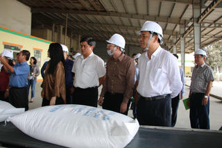 Bộ Nông nghiệp kiểm tra tình hình thu mua lúa gạo tại ĐBSCL