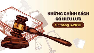 Những chính sách có hiệu lực trong tháng 8