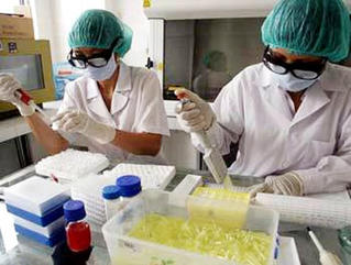 Ứng dụng công nghệ sinh học: Động lực để phát triển