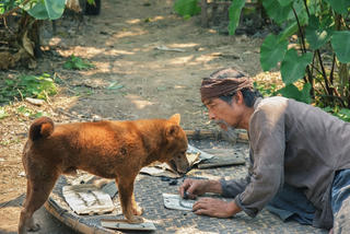 Ra mắt phim Cậu Vàng