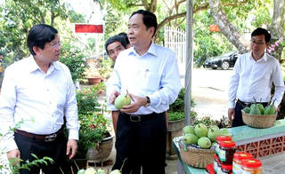 Mô hình Hội quán là kênh hữu hiệu phát triển kinh tế tại Đồng Tháp