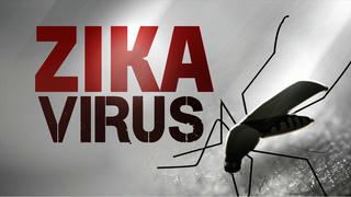 Thận trọng với Zika