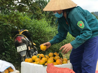 Cam thương hiệu bị ép giá giữa mùa dịch