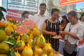 Huyện Tân Lạc (Hòa Bình): Bưởi đỏ Tân lạc, cây trồng chủ lực trong phát triển kinh tế nông nghiệp