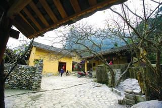 [ẢNH]: Trở lại 'nhà của Pao'