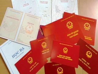 Kê khai, sử dụng văn bằng không hợp pháp, 2 cán bộ bị cách chức