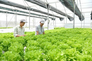 Nghệ An: Nhân dân đóng góp hơn 9.200 tỷ đồng xây dựng nông thôn mới