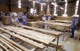 Vực dậy ngành gỗ sau dịch Covid-19