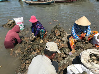 Giữa mênh mông sóng nước