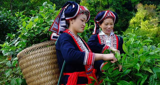 Chương trình Mục tiêu quốc gia 1719: Tạo đột phá trong nâng cao thu nhập và xóa nhà tạm vùng khó khăn