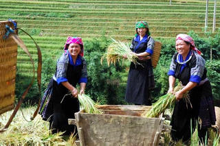 Giảm nghèo giai đoạn 2026-2035: Chuyển đổi tư duy từ giảm nghèo sang làm giàu bền vững Bài 2: Tích hợp "2 trong 1": Hóa giải chồng chéo, lấy con người làm trọng tâm