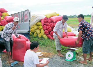 Gỡ khó cho gạo xuất khẩu