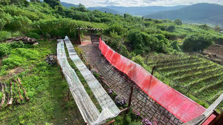 Khâu, nối, vẽ lại một hành trình văn hóa