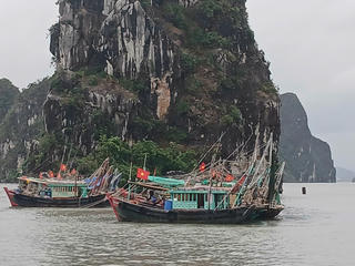 Không chủ quan trước bão Bualoi