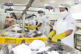 “Cuộc chiến mềm” cho thị trường nội địa