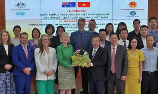 Việt Nam xuất khẩu bưởi sang Australia