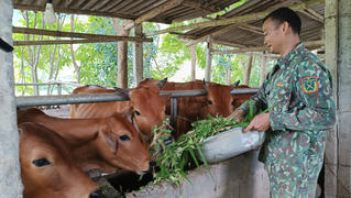 Chợ Mới: Từ gian khó đến khát vọng no ấm