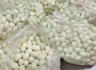 Lập đoàn kiểm tra vụ bếp ăn trường tiểu học dùng thực phẩm ôi thiu