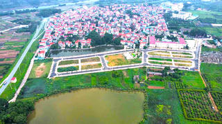 Trúng đấu giá quyền sử dụng đất: Người bỏ cọc phải bồi thường toàn bộ thiệt hại