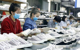 Quy trình thẩm định chuỗi cung ứng của thị trường EU: Doanh nghiệp Việt cần thay đổi để thích ứng
