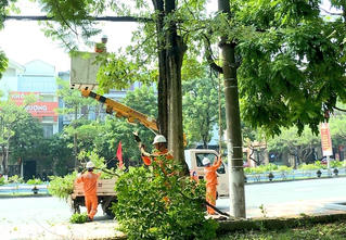 Công ty Điện lực Hưng Yên không ngừng nỗ lực đảm bảo an toàn hành lang lưới điện