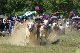 An Giang: Những đổi thay rõ rệt từ vùng đồng bào dân tộc thiểu số 