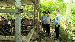 Đổi thay vùng đồng bào dân tộc thiểu số