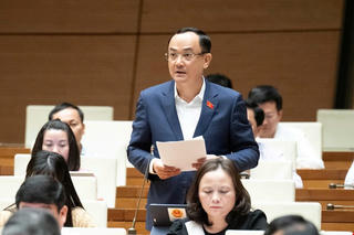 Môi trường quyết định tính bền vững chứ không phải tốc độ tăng trưởng