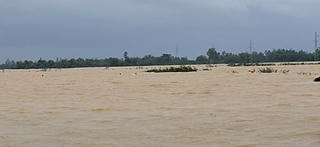 
Đà Nẵng: Lật ghe giữa đồng ngập lũ, một người mất tích 
