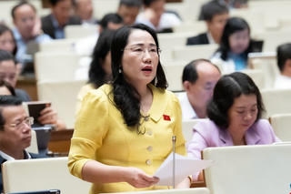 Đại biểu Quốc hội:
Xây dựng bộ sách giáo khoa tái sử dụng trong nhiều năm để tránh lãng phí
