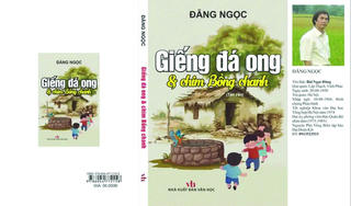 Cảm nhận về “giếng đá ong & chim bồng chanh”
