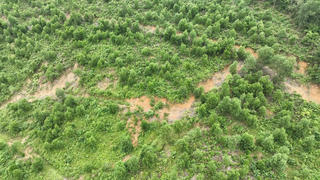 Quảng Trị: Công bố tình huống khẩn cấp về sạt lở tại 2 vị trí