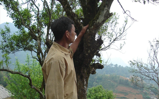 Giảm nghèo về thông tin – Nền tảng thúc đẩy phát triển kinh tế ở xã Chợ Đồn