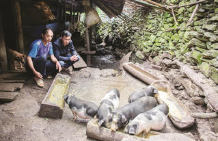 Đổi thay nhờ thực hiện tốt các hoạt động giám sát