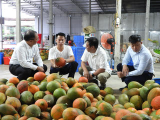 Báo Đại đoàn kết và Mặt trận Tuyên Quang trao đổi về Chương trình “Vinh danh Người truyền lửa”