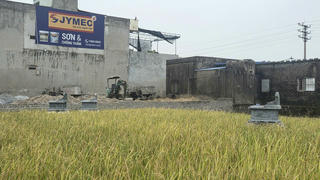 Báo động tình trạng xây dựng mồ mả tự phát - Bài cuối: Cần quy hoạch đồng bộ cho khu vực nghĩa trang