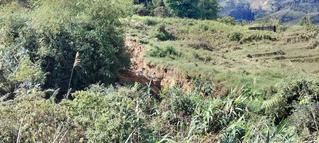 Quảng Ngãi: Nhiều vết nứt lớn đe dọa 54 hộ dân làng Đăk Sun