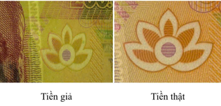 Phát hiện tiền giả ở khu vực biên giới Cao Bằng