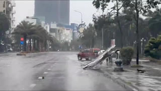 Bão số 13: Đặc khu Lý Sơn gió cấp 10, Gia Lai cây cối ngã đổ