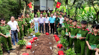 Hơn 10.000 cây xanh 'vì biển đảo Tổ quốc' gửi tặng Trường Sa