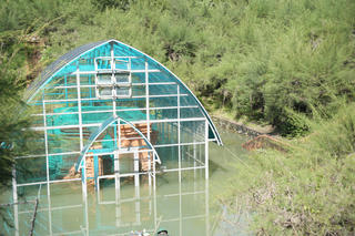 Khẩn trương khắc phục tình trạng ngập nước tại di tích tháp Chăm Phú Diên