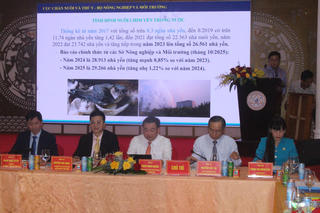 Khánh Hòa tăng cường bảo vệ và phát triển bền vững đàn chim yến