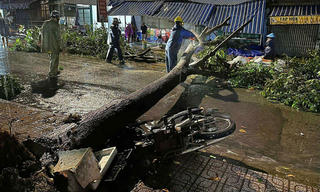 TP Hồ Chí Minh: Chưa ghi nhận thiệt hại về người sau cơn lốc lớn
