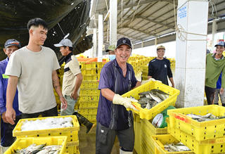 Bên trong cảng cá lớn nhất tỉnh An Giang 