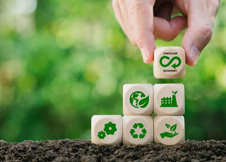 Kinh tế tuần hoàn trở thành xu hướng chủ đạo