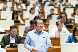 Đại biểu đề nghị làm rõ quy định cấm viên chức “chân trong chân ngoài”